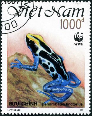 Vietname - 1991 - WWF Dendrobates tinctorius - 1000D