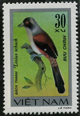 Vietname - Sem Data - Aves Lanius schach - 30Xu