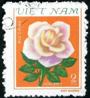 Vietname - Sem Data - Flora Rosa Hong Bach - 2Xu