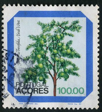 Acores - 1983 - Flora Endemica Juniperus brevifolia - 100Esc