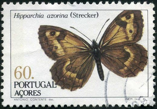 Acores - 1985 - Insectos Hipparchia azorina - 60Esc