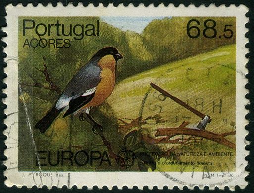 Acores - 1986 - Europa CEPT Protecao da Natureza - 68Esc50