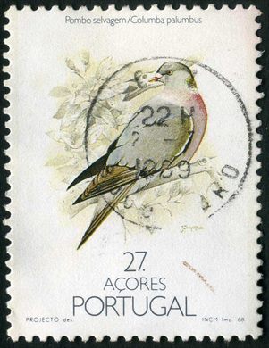 Acores - 1988 - Aves dos Acores Pombo Selvagem - 27Esc