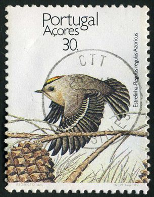 Acores - 1989 - Aves dos Acores Estrelinha - 30Esc