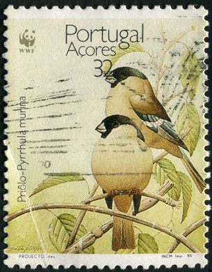 Acores - 1990 - WWF Priolo Pyrrhula murina - 32Esc