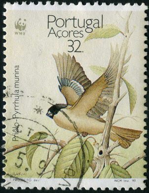 Acores - 1990 - WWF Priolo Pyrrhula murina - 32Esc