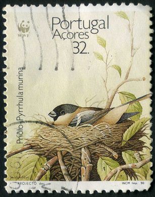 Acores - 1990 - WWF Priolo Pyrrhula murina - 32Esc