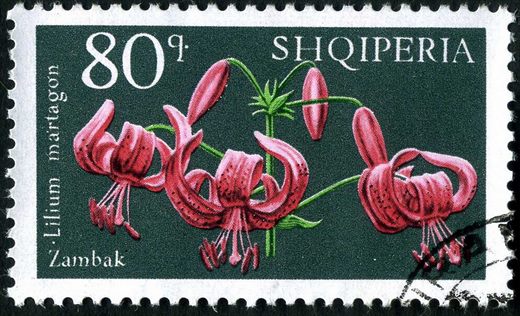 Albania - 1940 - Selos Devedores TAKSE - Aguia Bicefala - 50Q