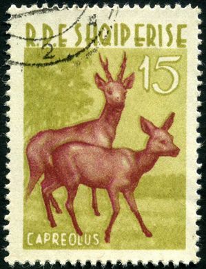 Albania - 1962 - Fauna - Corco - 15L