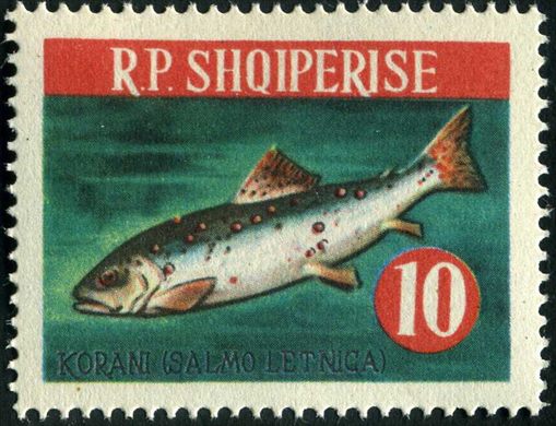 Albania - 1964 - Peixes - Koran Salmo letnica - 10L