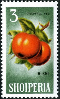 Albania - 1965 - Flora Frutos - Nespera - 2L