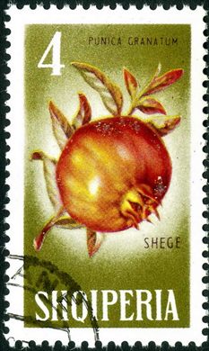 Albania - 1965 - Flora Frutos - Diospiro - 3L