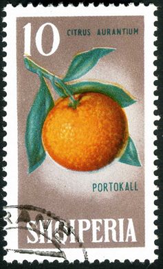 Albania - 1965 - Flora Frutos - Roma - 4L