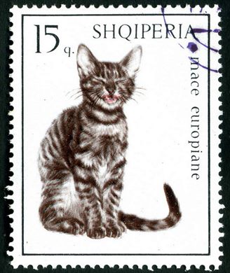 Albania - 1966 - Gatos - Mace europiane - 15Q