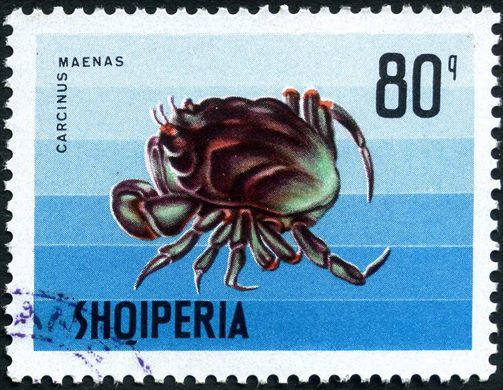 Albania - 1968 - Vida Marinha - Carcinus maenas - 80Q