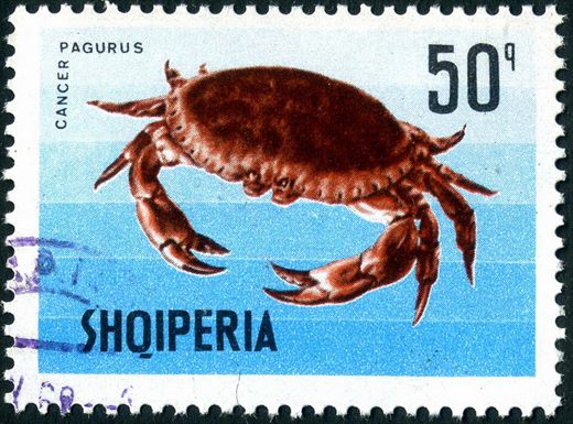 Albania - 1968 - Vida Marinha - Cancer pagurus - 50Q
