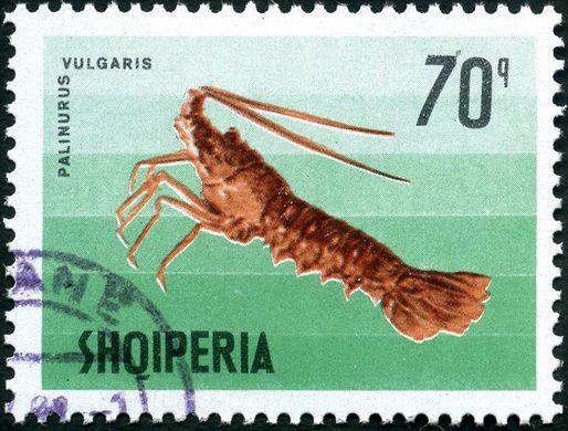 Albania - 1968 - Vida Marinha - Palinurus vulgaris - 70Q