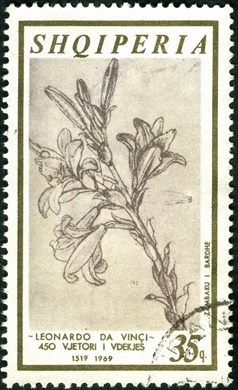 Albania - 1969 - Leonardo da Vinci 450 Anos - Lirio Branco - 35Q