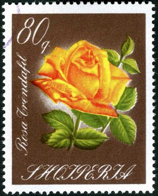 Albania - 1969 - Flora Violetas - Viola Odorata - 25Q