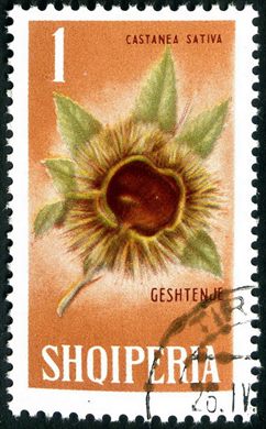 Albania - 1970 - Flora Lirios - Lilium Tigrinum - 1.10L