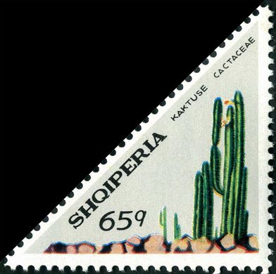 Albania - 1971 - Cactaceae - 65Q
