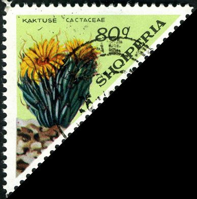 Albania - 1971 - Cactaceae - 80Q