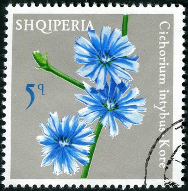 Albania - 1972 - Flora Frutos da Floresta - Corylus Avellana Lajthi - 15Q