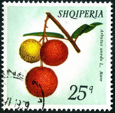 Albania - 1972 - Flora Frutos da Floresta - Sorbus Aucuparia Volle e eger - 2.40L