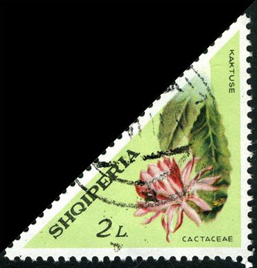 Albania - 1972 - Flora Frutos da Floresta - Juglans Regia Arre - 20Q
