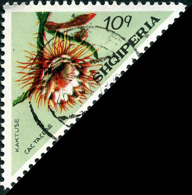 Albania - 1973 - Flora Cactos - Epiphyllum - 2L