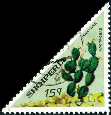 Albania - 1973 - Flora Cactos - Selenicereus Macdonaldiae - 10Q