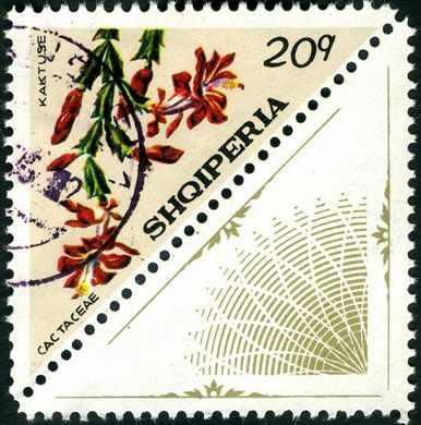 Albania - 1973 - Flora Cactos - Opuntia Vulgaris - 15Q