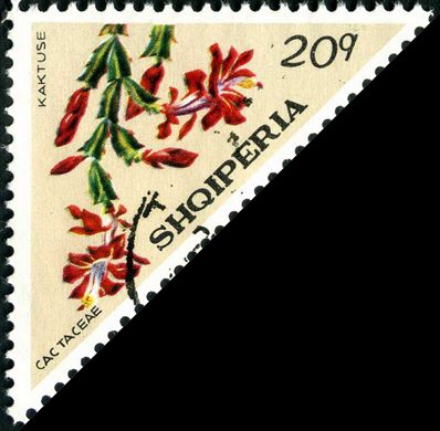 Albania - 1973 - Flora Cactos - Pereskia Vargedsii - 20Q