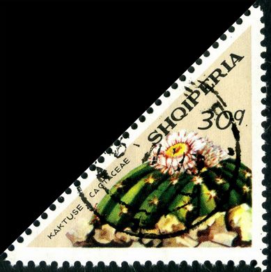 Albania - 1973 - Flora Cactos - Malacocarpus Erinaceus - 25Q