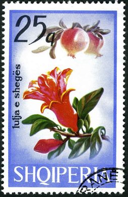 Albania - 1975 - Flora Flores de Arvores Frutiferas - Cerejeira - 50Q