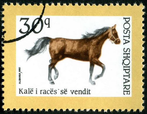 Albania - 1992 - Cavalos - Raca do Vendit - 30Q