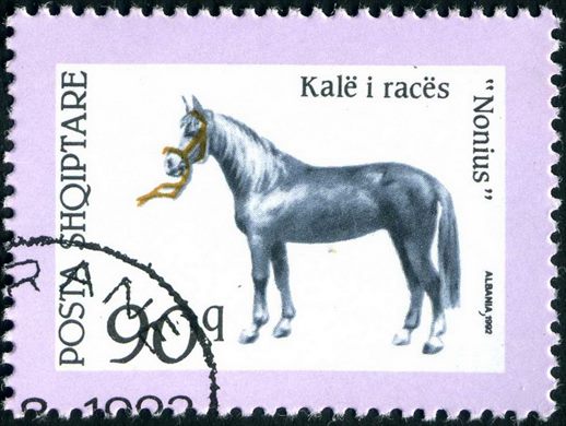 Albania - 1992 - Cavalos - Raca Nonius - 90Q