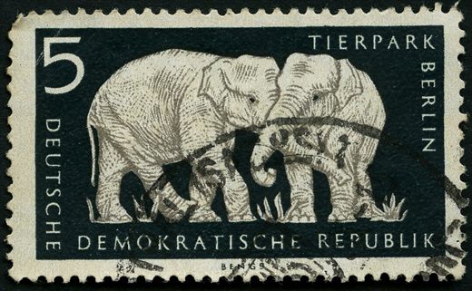 Alemanha Oriental - 1956 - Tierpark Berlim - Elefantes Indianos - 5Pf