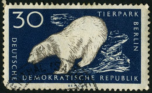 Alemanha Oriental - 1956 - Tierpark Berlim - Urso Polar - 30Pf