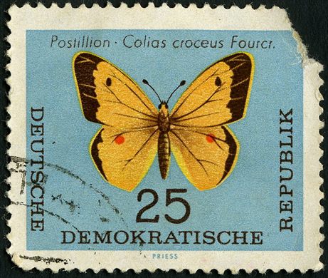 Alemanha Oriental - 1964 - Borboletas - Postillion Colias Croceus - 25Pf