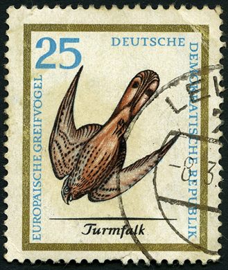 Alemanha Oriental - 1965 - Europaische Greifvogel - Turmfalk - 25Pf