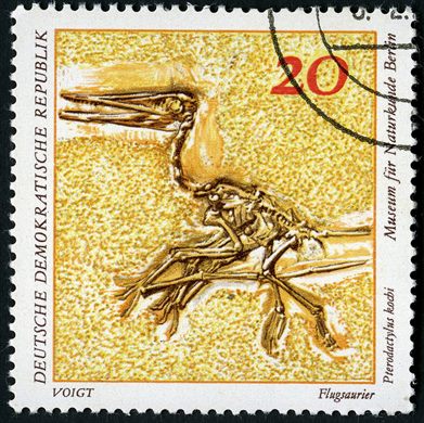 Alemanha Oriental - 1973 - Fosseis Museu Naturkunde - Pterodactylus kochi - 20Pf