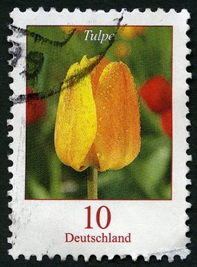 Alemanha - 2005 - Flores - Tulpe - 0.10Euro