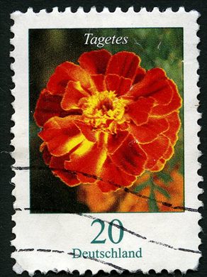 Alemanha - 2005 - Flores - Tagetes - 0.20Euro
