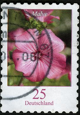 Alemanha - 2005 - Flores - Malve - 0.25Euro