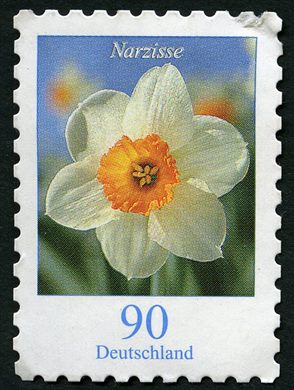 Alemanha - 2006 - Flores - Narzisse - 0.90Euro