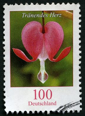 Alemanha - 2006 - Flores - Tranendes Herz - 1.00Euro