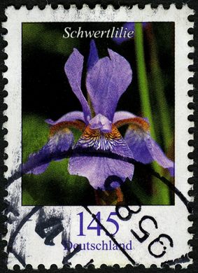 Alemanha - 2006 - Flores - Schwertlilie - 1.45Euro