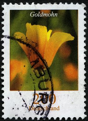 Alemanha - 2006 - Flores - Goldmohn - 2.00Euro