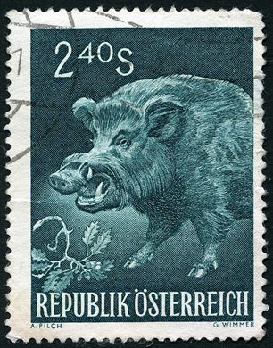 Austria - 1959 - Fauna - Javali - 2Sch40